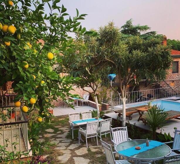 פנסיון Akropolis Guest House