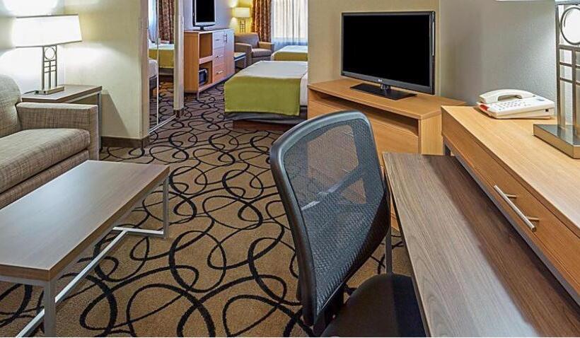 هتل Holiday Inn Express & Suites   Henderson South   Boulder City, An Ihg