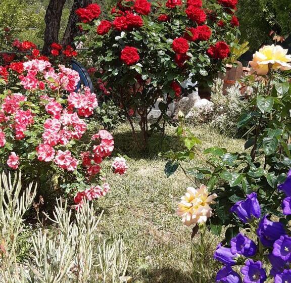 مبيت وإفطار Il Girasole