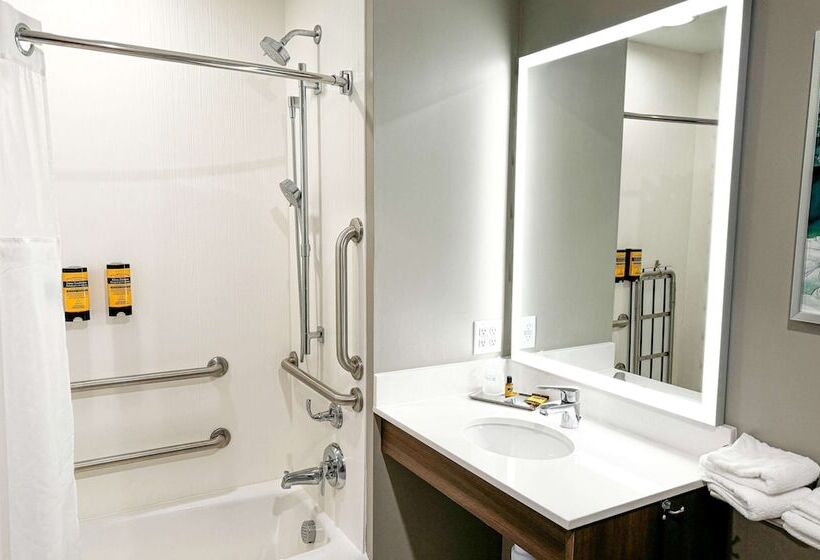 هتل Best Western Plus Grand Rapids Mn