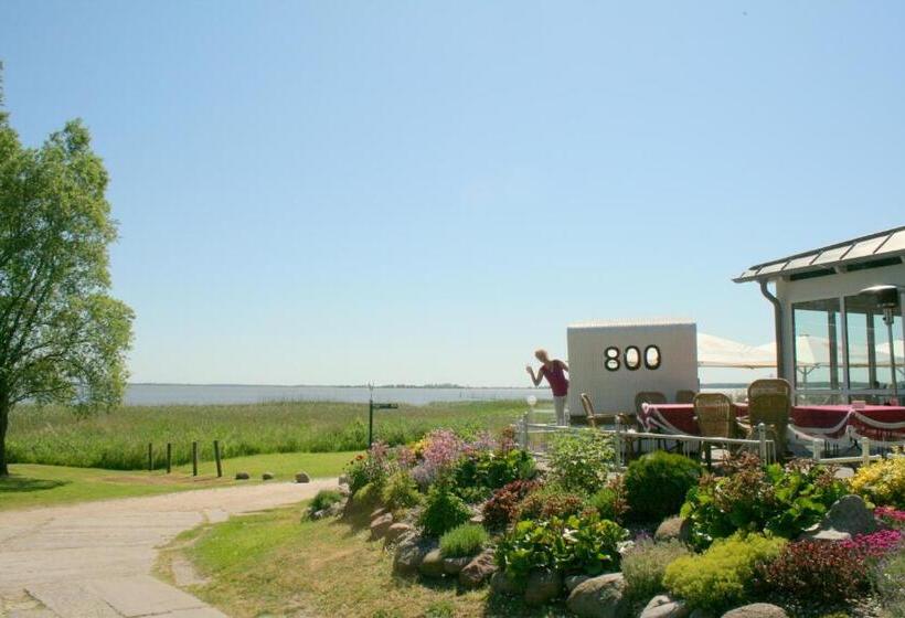 ホテル Haus Schwalbe Mit Vineta Komfort Häusern