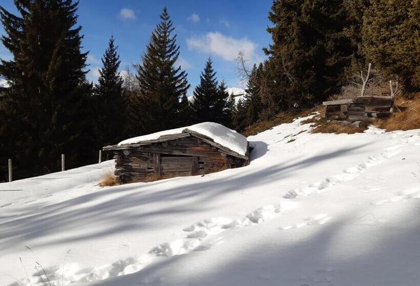 Appartement Gsaller