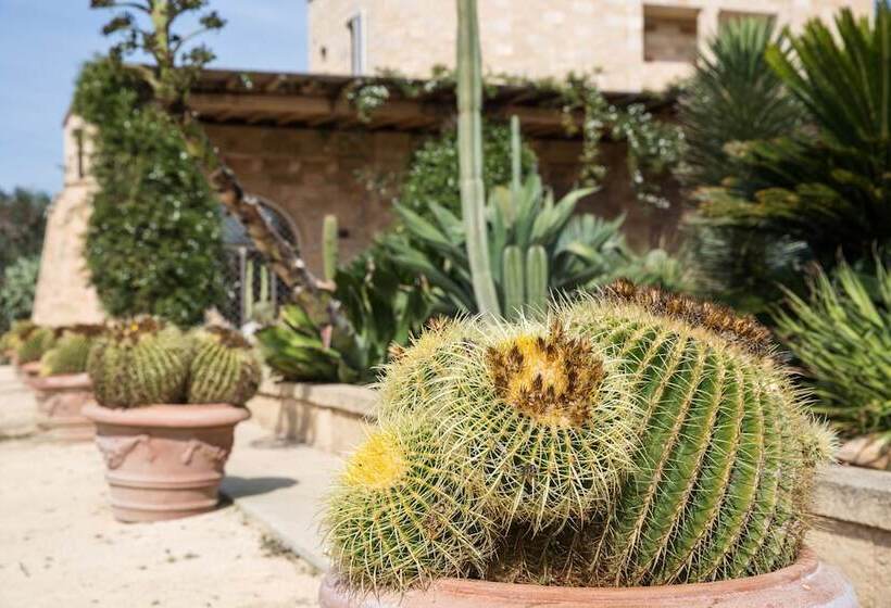 민박 Masseria Saietti