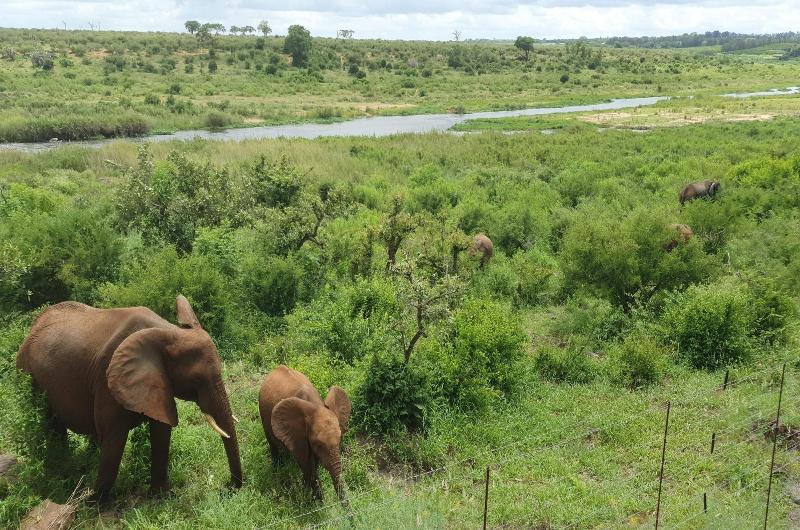ホテル Buckler S Africa Lodge Kruger Park