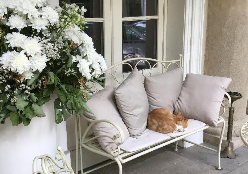 בית מלון כפרי Dwor Sierakow