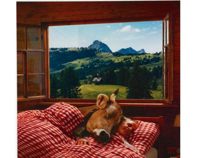 בית מלון כפרי Eggishorn