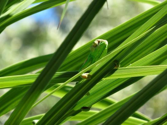 酒店 Helderview Homestead
