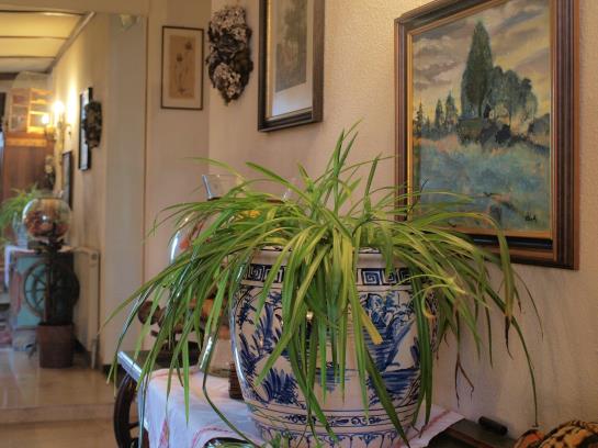 Пансион Lugmayr Gasthof