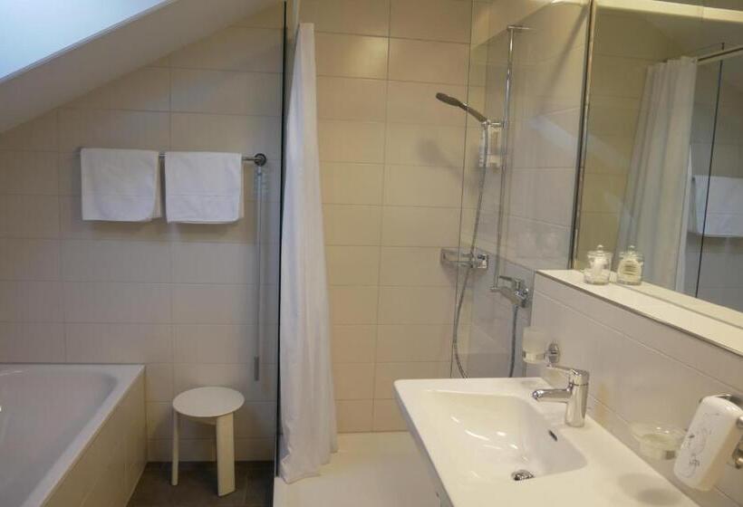 فندق Schwanen Wil