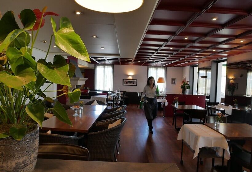 فندق Schwanen Wil