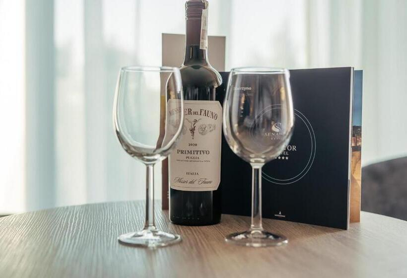 בית מלון כפרי Senator