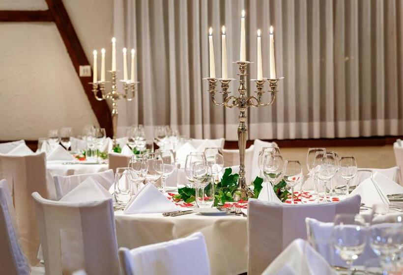 בית מלון כפרי Stalden