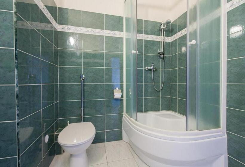 پانسیون V Centru