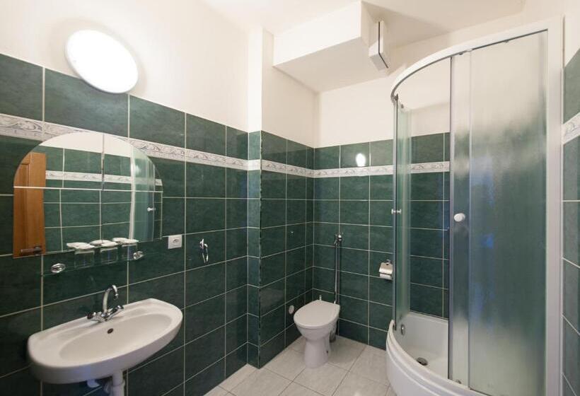 پانسیون V Centru