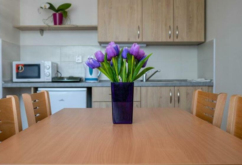 Общежитие Apartmány A Studia Zámecký Park