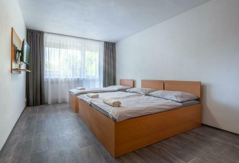 Общежитие Apartmány A Studia Zámecký Park