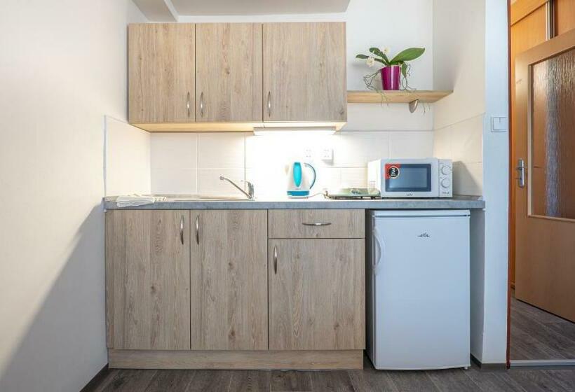 Общежитие Apartmány A Studia Zámecký Park