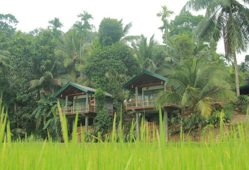 فندق Rainforest Nest