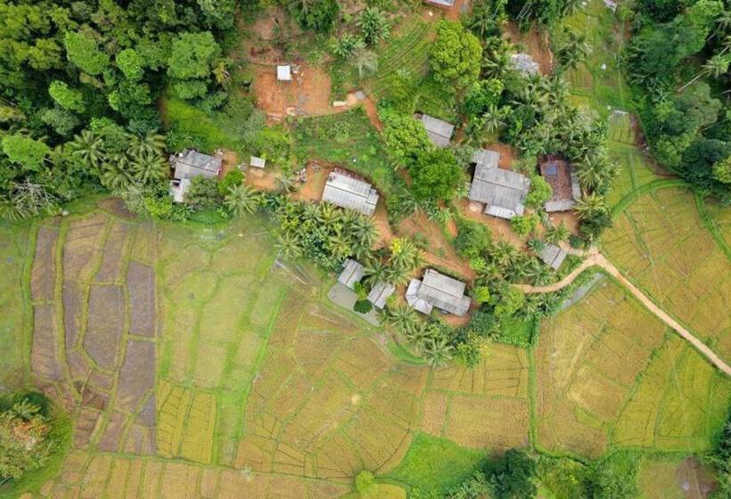 فندق Rainforest Nest