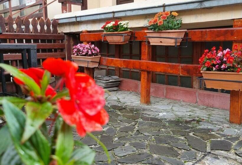 ペンション Vila Emily