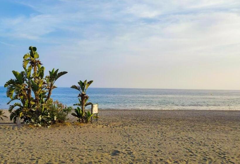 Laguna Beach Paradise   Alojamientos La Torre