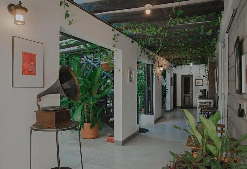 بنسيون Casa Ines