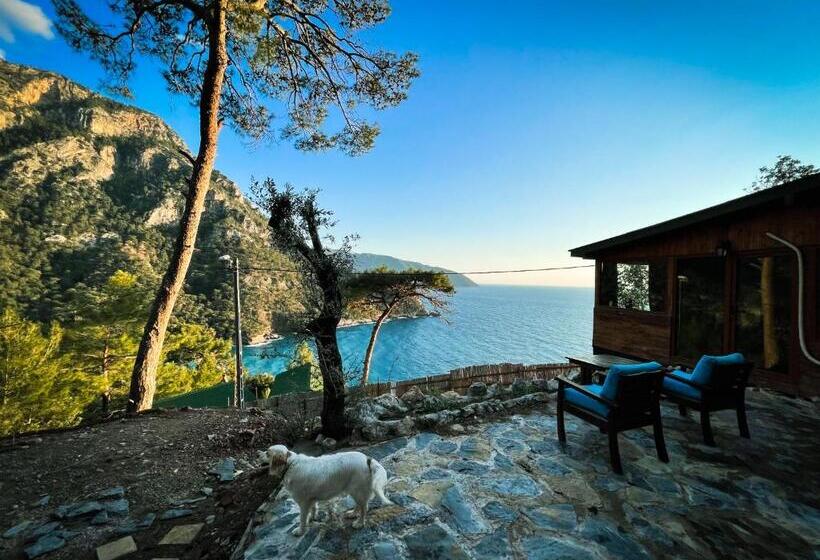 فندق Kabak ütopya Suites