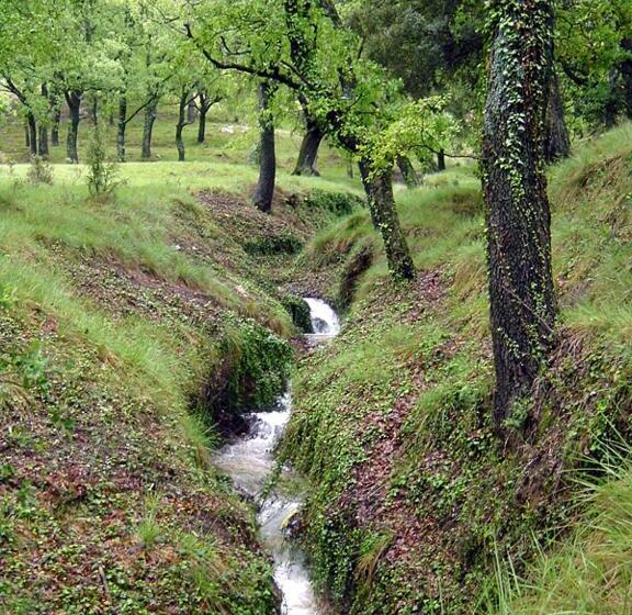 فندق Roig