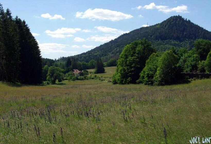 Spacieux Gîte Vosgien 3 épis Pour 4 Pers, Randonnées Et Vtt, Environnement Calme Et Verdoyant   Fr 1