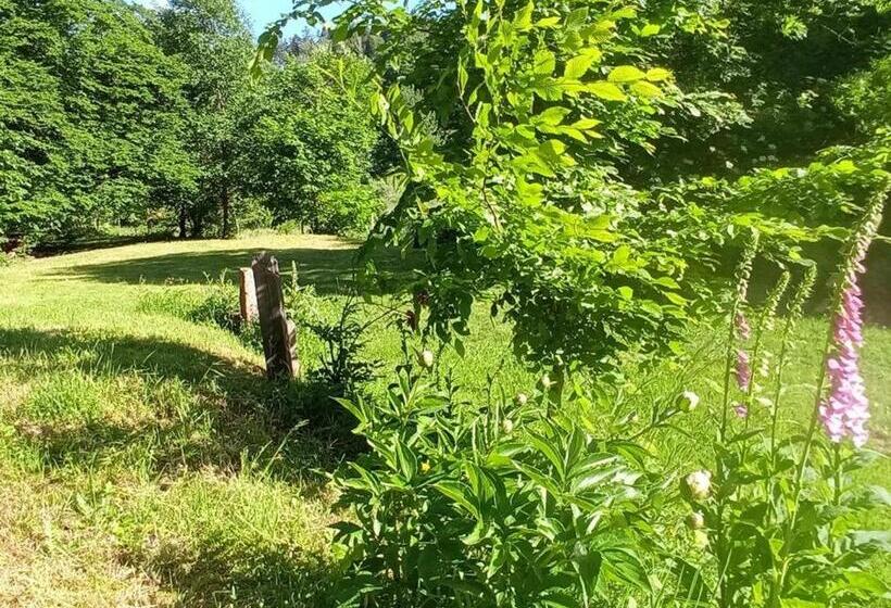 Spacieux Gîte Vosgien 3 épis Pour 4 Pers, Randonnées Et Vtt, Environnement Calme Et Verdoyant   Fr 1