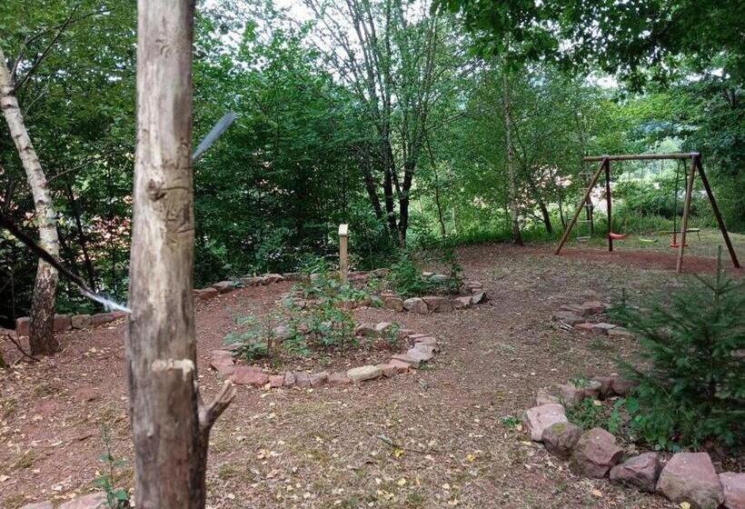 Spacieux Gîte Vosgien 3 épis Pour 4 Pers, Randonnées Et Vtt, Environnement Calme Et Verdoyant   Fr 1