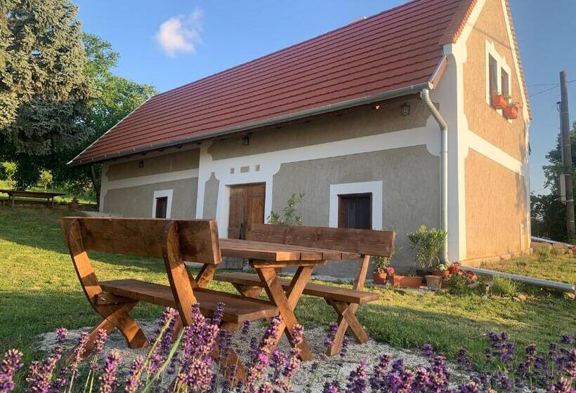Balaton Home With A Majestic View