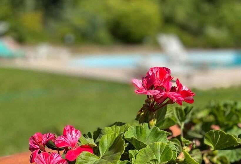 مبيت وإفطار La Giorgetta