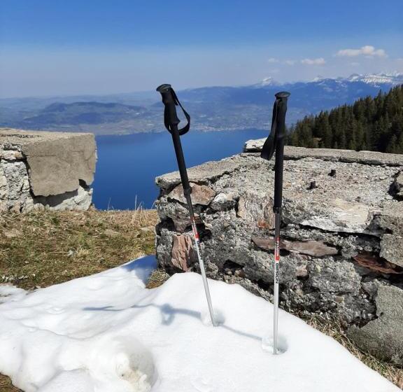 Châlet Vue Lac Léman à 1000 Mètres D Altitude