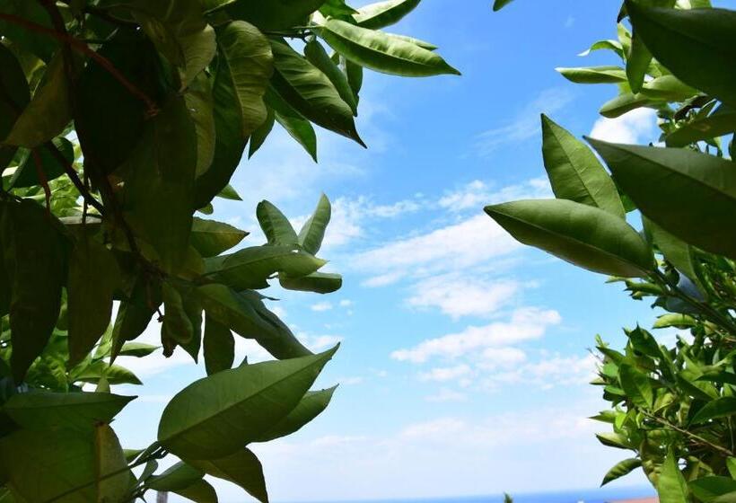 مبيت وإفطار Al Chiaro Di Luna