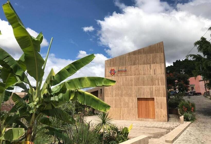 Bed and Breakfast Casa Teotitlán