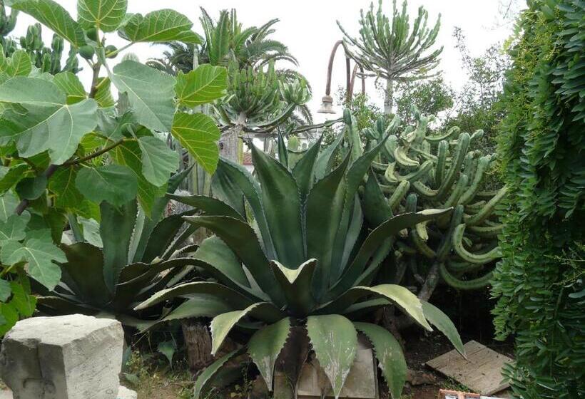 پانسیون Villa Yucca