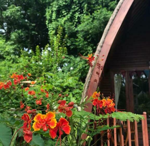 تختخواب و صبحانه Meno Madia Bungalows