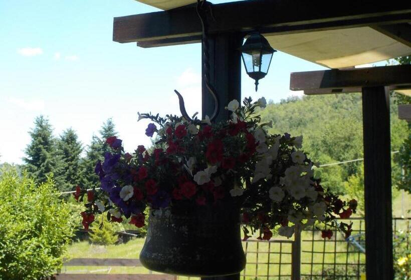 Cascina Ciosse B&b