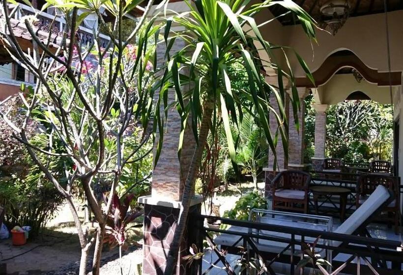 پانسیون Barracuda Beach Hostel