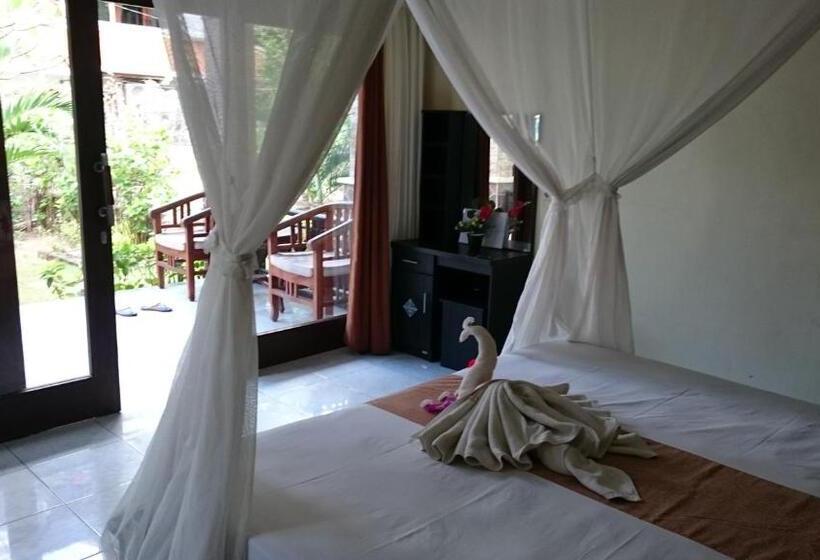پانسیون Barracuda Beach Hostel