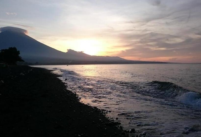 پانسیون Barracuda Beach Hostel