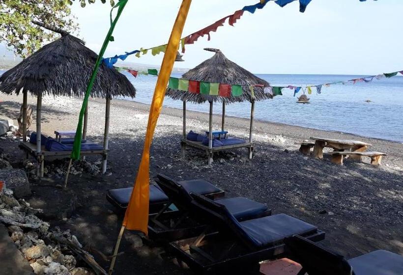 پانسیون Barracuda Beach Hostel
