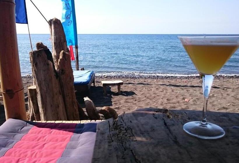 پانسیون Barracuda Beach Hostel