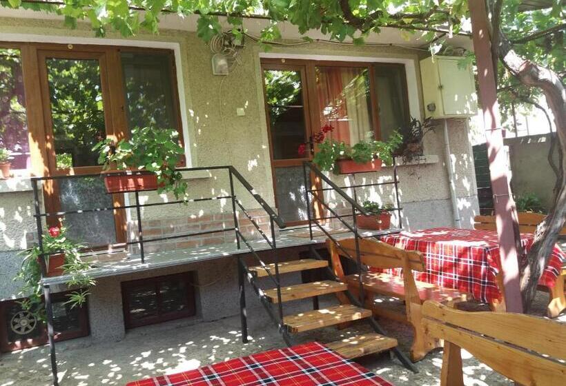 پانسیون Guest House Astra