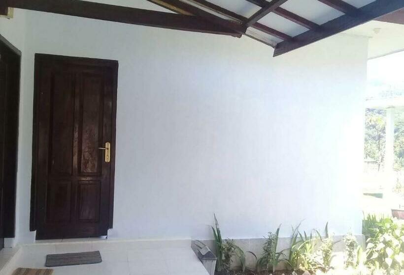 بنسيون Horizon Senaru Villa