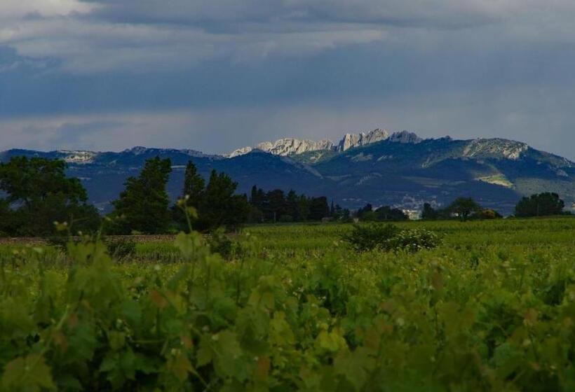 膳宿费 Maison D´hôtes Le Mas Des Vignes