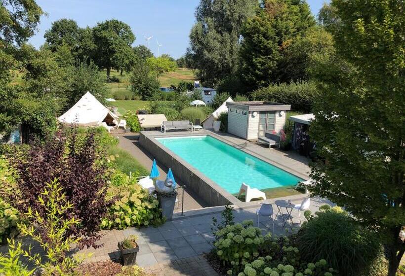 酒店 Guesthouse De Witte Merel Deluxe