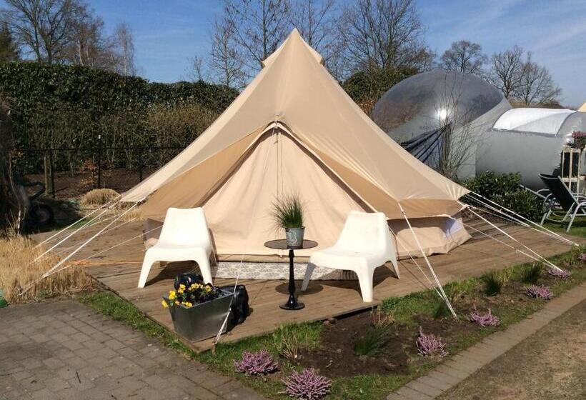 酒店 Guesthouse De Witte Merel Deluxe