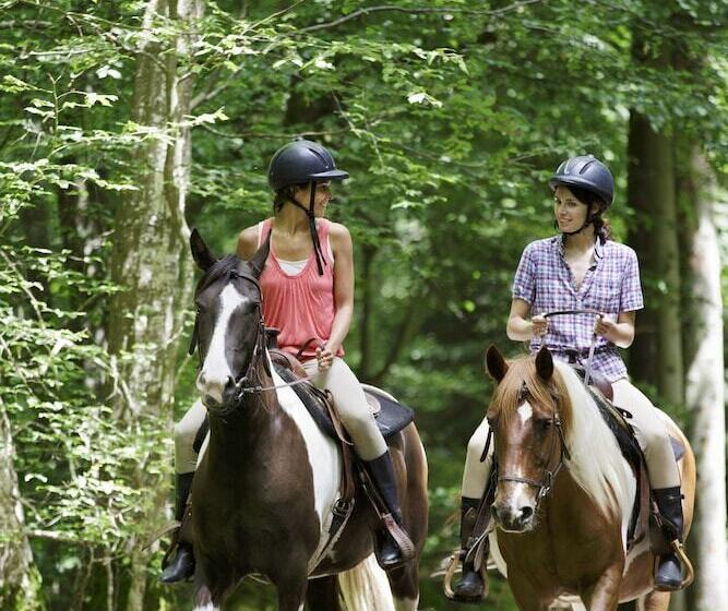 בית מלון כפרי Center Parcs Les Bois-francs